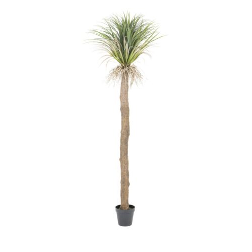 Kunstboom Agave met pot 244 cm