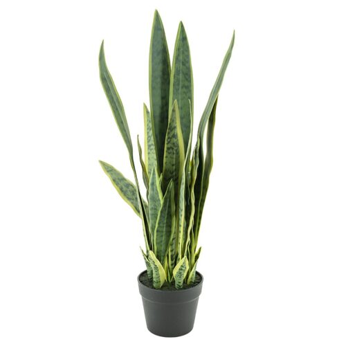 Kunstplant Sansevieria 79 cm