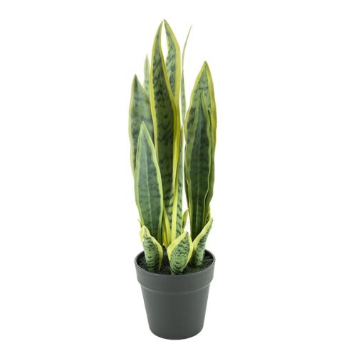 Kunstplant Sansevieria 55 cm